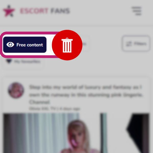 Changes to EscortFans Updates to Posting Options and Free Content Section (3)
